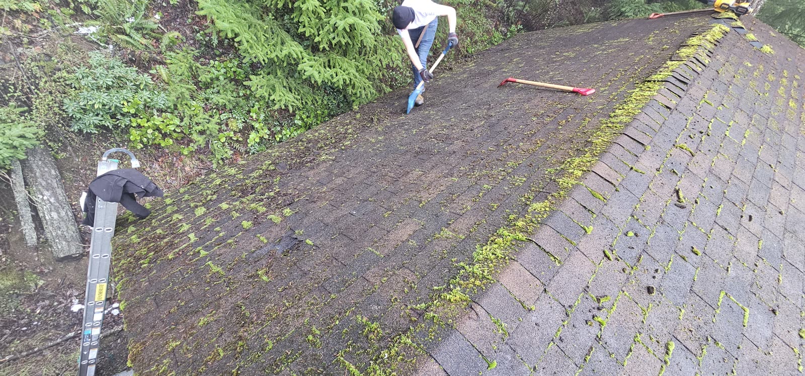 Butler reroof — shingle installation detail